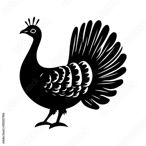 turkey isolated on white