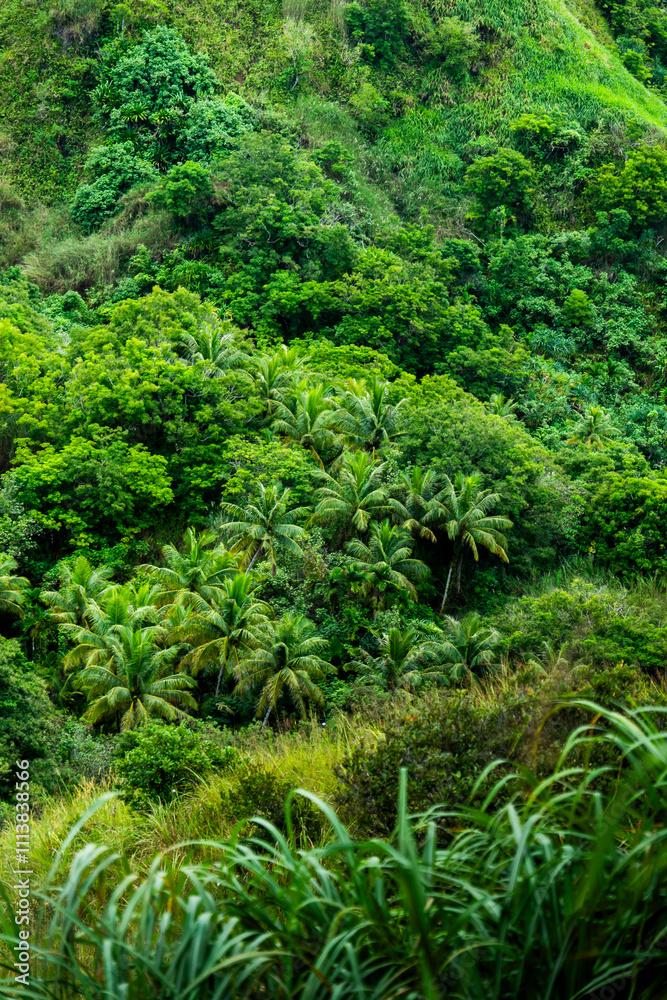 Lush green hills of southern Guam showcasing vibrant tropical landscape Lush green hills of southern Guam showcasing vibrant tropical landscape