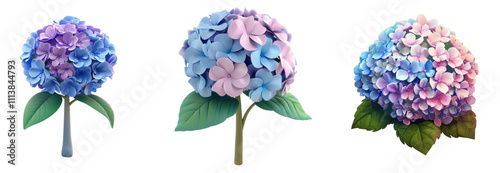3d render blooming hydrangea isolated on transparent background Cartoon Illustration in plastic style