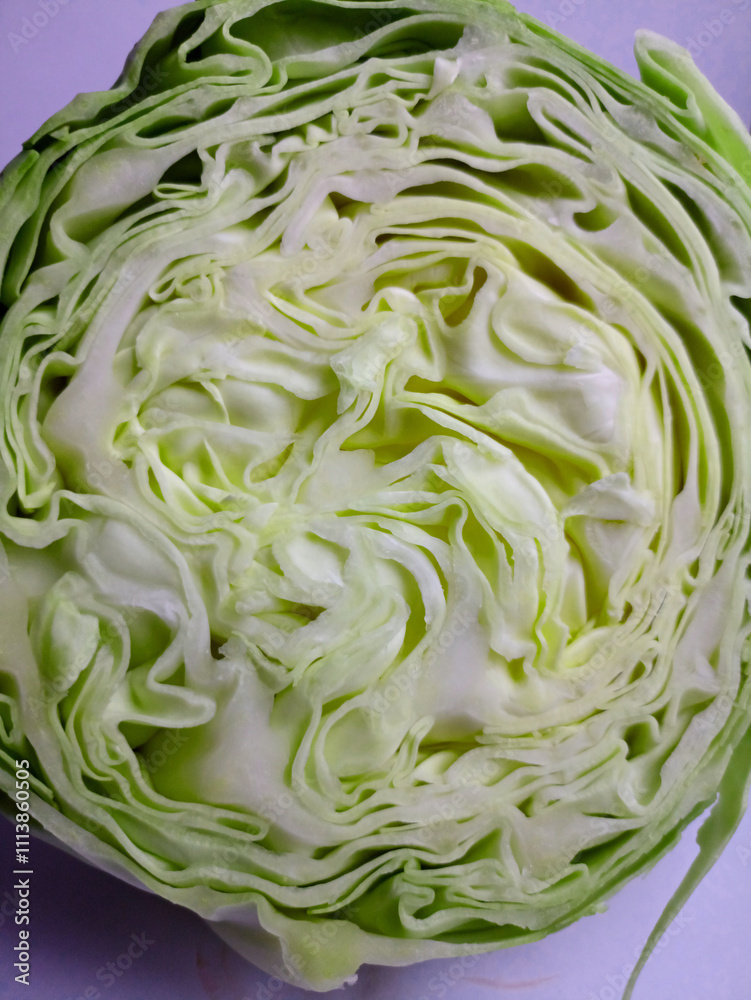 Fototapeta premium Head of cabbage in section