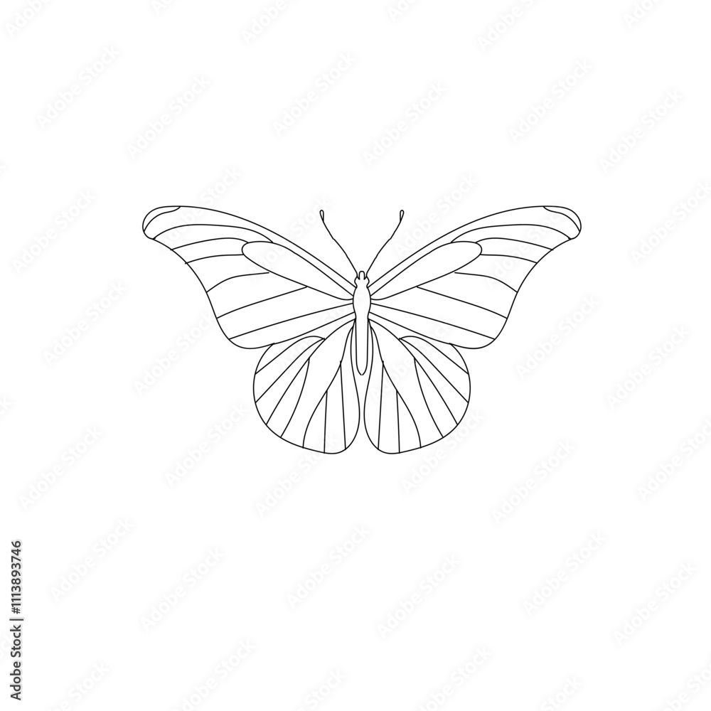 A BEAUTIFUL BUTTERFLY LINE ART