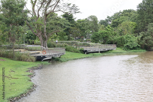 green park with a lake