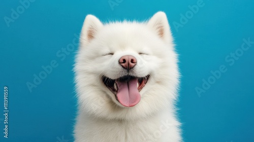 The Happy Samoyed Dog