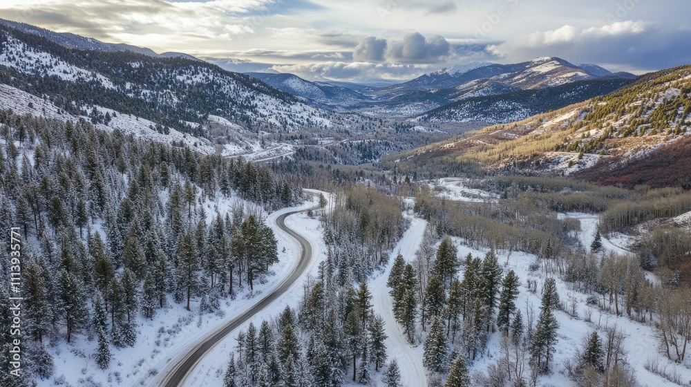 Snowy mountain with a winding road and tall trees Snowy mountain with a winding road and tall trees