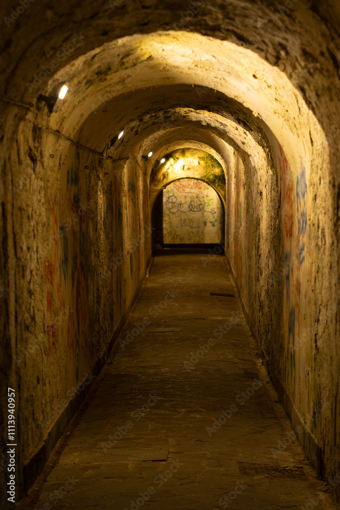 Old pedestrian tunnel near the castle Old pedestrian tunnel near the castle