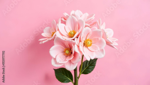Bouquet of pink flowers isolated on soft pink background