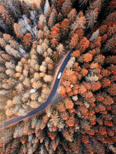 Route d'automne photo