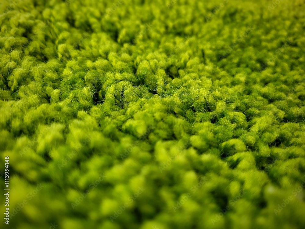 Obraz premium Artificial Green Carpet