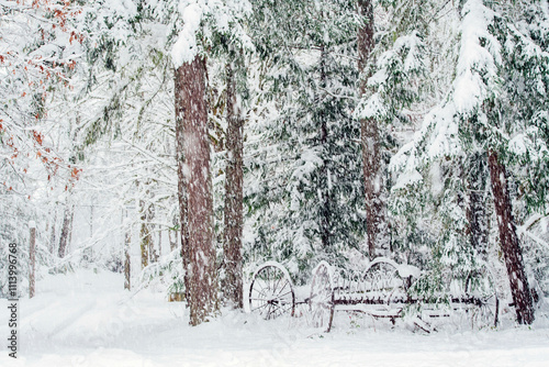 Snow-covered forest with an old wooden wagon with wheels during a tran0uil snowfall. photo