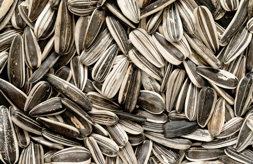 Sunflower seeds background