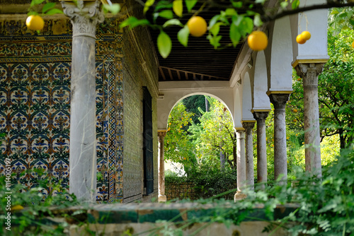 Lush of green patio garden in Spain