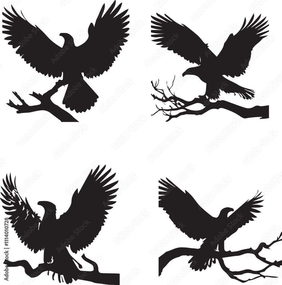 Obraz premium Eagle Silhouette Vector Set – Majestic Bird of Prey and Wildlife Design Elements