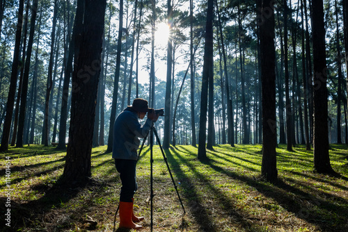 Photographer is taking photo of the new discovering bird species while exploring in the pine forest for surveying and locating rare biological diversity and ecologist on field study usage photo