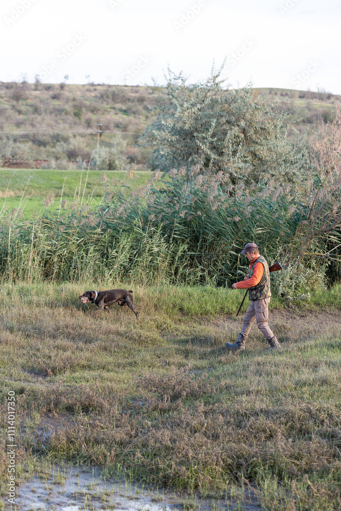 Mature hunter man holding a shotgun and walking through a field Mature hunter man holding a shotgun and walking through a field
