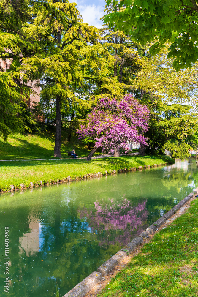 Castelfranco Veneto - Italy Castelfranco Veneto - Italy