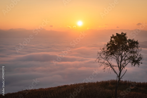 Beautiful scenery of the sea of mist in the morning at the Car Camping site with a viewpoint nature at Doi Ba Lu Kho Mountain in Mae Chaem, Chiang Mai, Thailand. Background concept. photo