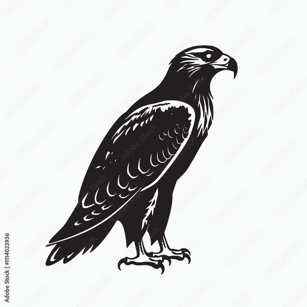 Obraz premium Eagle Silhouette Isolated on White Background