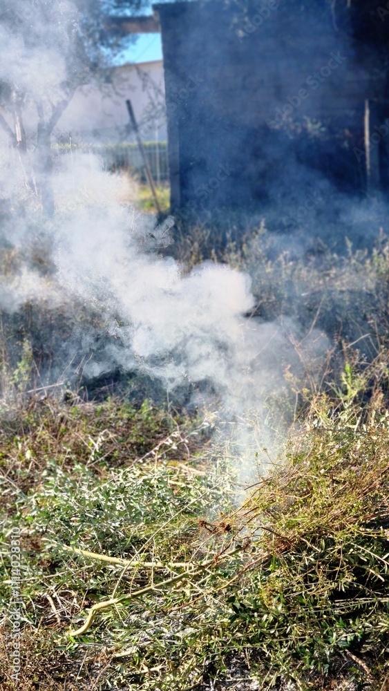 Obraz premium Burning dry branches and leaves in an open field, with smoke rising visibly