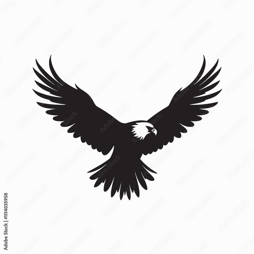 Fototapeta premium Elegant Eagle Silhouette Gliding in Sunset Light