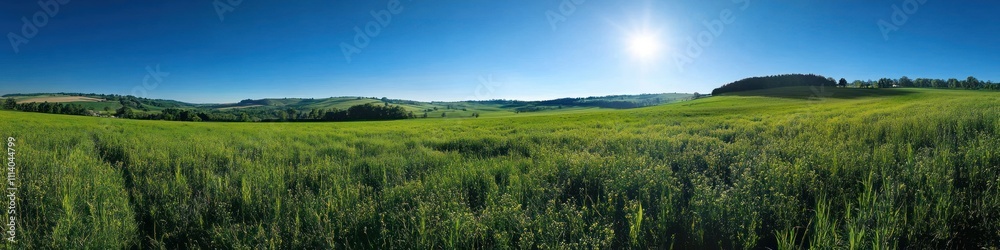 Vast green field under a bright blue sky with trees and distant hills Vast green field under a bright blue sky with trees and distant hills
