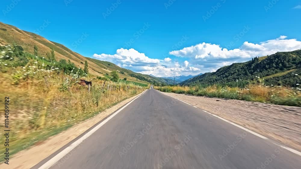 Driving a car on country road. road trip. Driving a car on country road. road trip.