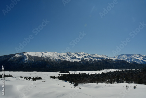 Llaima Vulcano in Conguillio national park patagonia chile snow landscape photo