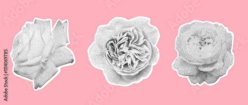 Halftone rose flowers set on pastel pink background. Modern collage elements set