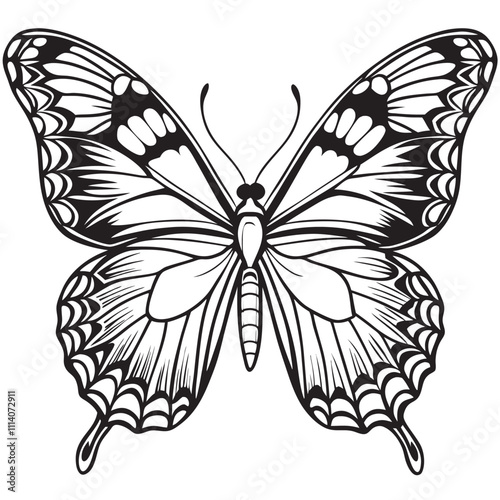 A black silhoutte butterfly lineart vrctoron a isoleted white background  