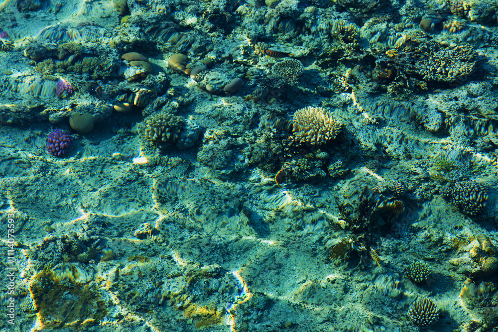 Red Sea Surface. Marine Background. Copy Space Red Sea Surface. Marine Background. Copy Space