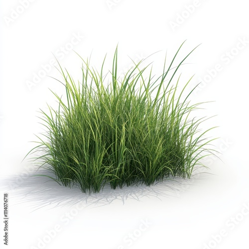 An isolated 3D illustration of grass in the wild on a white backdrop.