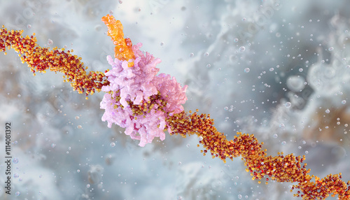 Cellular translation process. A ribosome synthesizes protein based on mRNA information. The mRNA strand carries genetic code. The ribosome decodes mRNA to form a protein chain. Molecular biology 3D