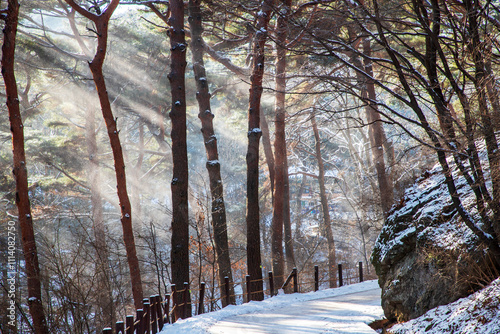 남한산성 photo