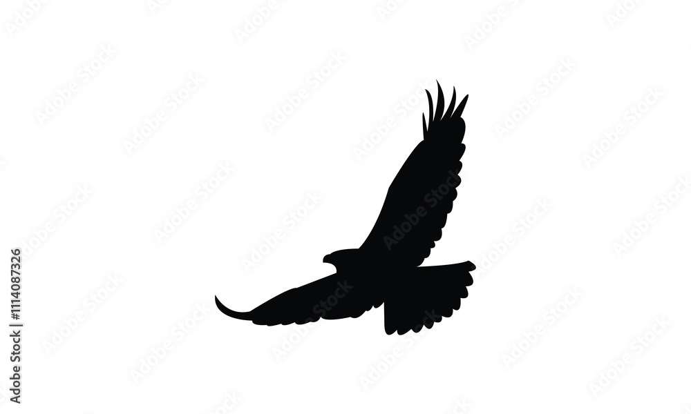 Obraz premium Flying Hawk Bird Silhouette Design And Vector Illustration. 