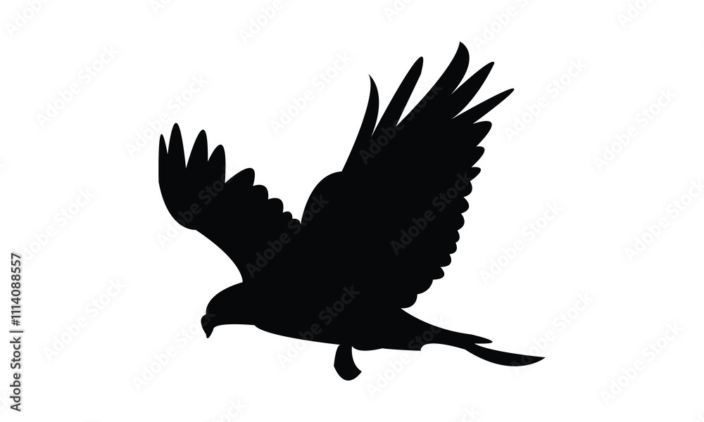 Flying Hawk Bird Silhouette Design And Vector Illustration. Flying Hawk Bird Silhouette Design And Vector Illustration.