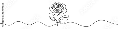 One continuous line illustration of a rose, isolated on white background. Line art of rose