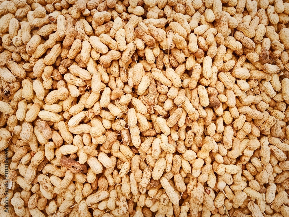 Beautiful Groundnuts in bulk healthy dry fruits Beautiful Groundnuts in bulk healthy dry fruits