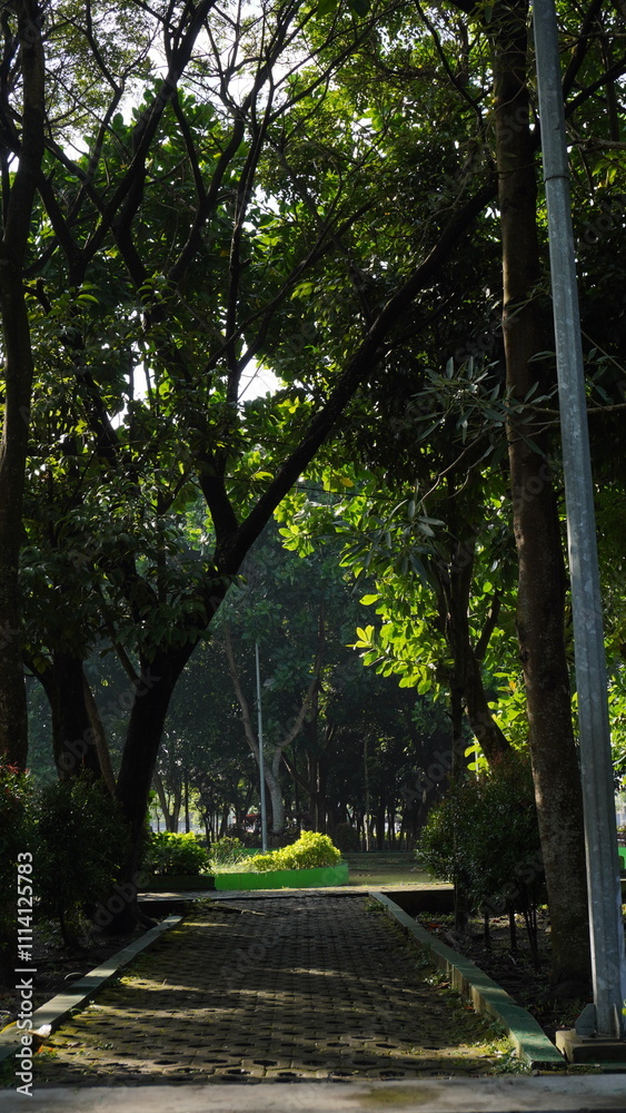 The paths are surrounded by shady trees and plants and make the air cooler The paths are surrounded by shady trees and plants and make the air cooler