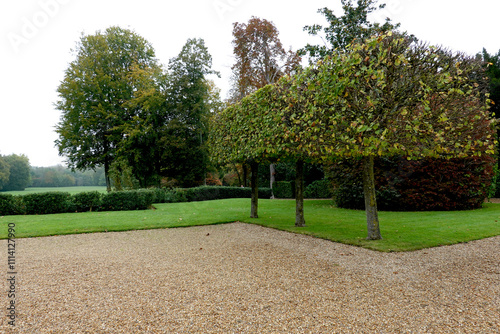 Arbres topiaires dans un parc paysager