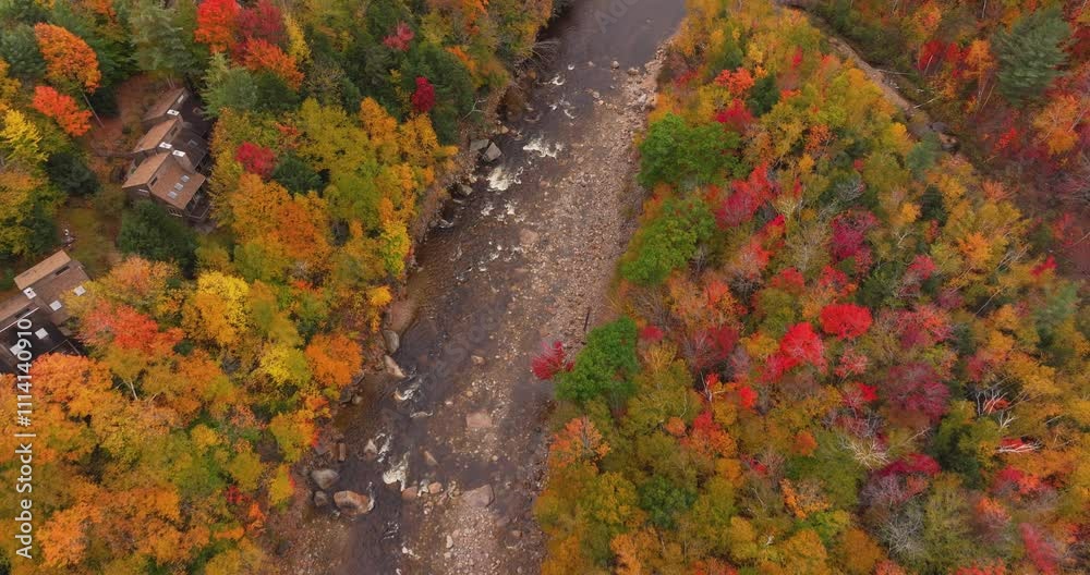Aerial following a rocky river flowing through woodlands with cabins in autumn Aerial following a rocky river flowing through woodlands with cabins in autumn