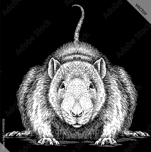 Vintage engraving isolated mouse set illustration mice ink sketch. Rat background rodent silhouette hamster art. Black and white hand drawn vector image