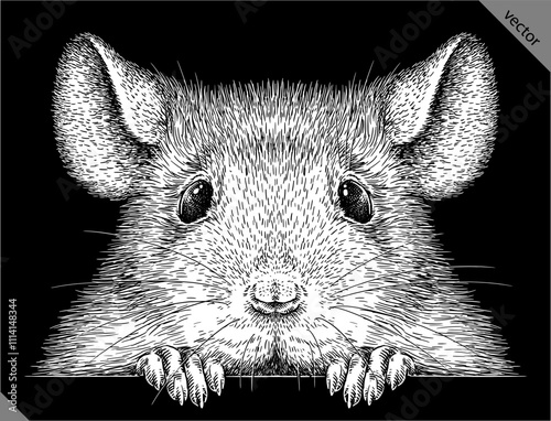 Vintage engraving isolated mouse set illustration mice ink sketch. Rat background rodent silhouette hamster art. Black and white hand drawn vector image
