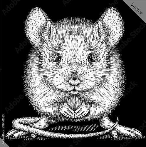 Vintage engraving isolated mouse set illustration mice ink sketch. Rat background rodent silhouette hamster art. Black and white hand drawn vector image