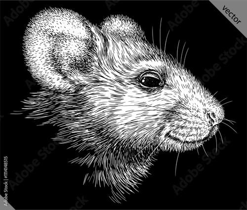 Vintage engraving isolated mouse set illustration mice ink sketch. Rat background rodent silhouette hamster art. Black and white hand drawn vector image