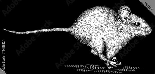 Vintage engraving isolated mouse set illustration mice ink sketch. Rat background rodent silhouette hamster art. Black and white hand drawn vector image