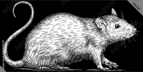 Vintage engraving isolated mouse set illustration mice ink sketch. Rat background rodent silhouette hamster art. Black and white hand drawn vector image