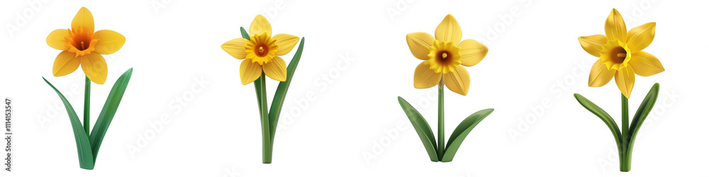 3d render daffodil isolated on transparent background Cartoon Illustration in plastic style 3d render daffodil isolated on transparent background Cartoon Illustration in plastic style