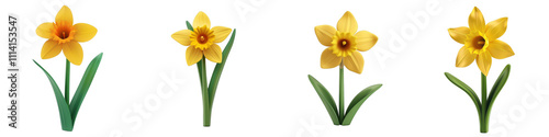 3d render daffodil isolated on transparent background Cartoon Illustration in plastic style
