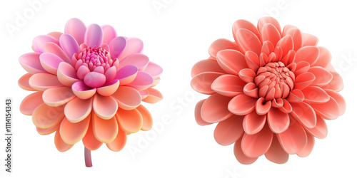 3d render dahlia isolated on transparent background Cartoon Illustration in plastic style