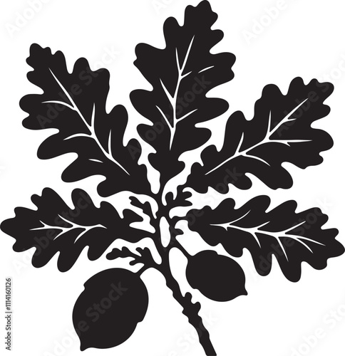 oak nut with leaves silhouette design vector art illustration