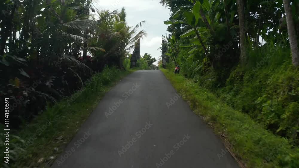 Rice fields in Bali. Amazing landscape above rice terraces. Rice terraces Rice fields in Bali. Amazing landscape above rice terraces. Rice terraces